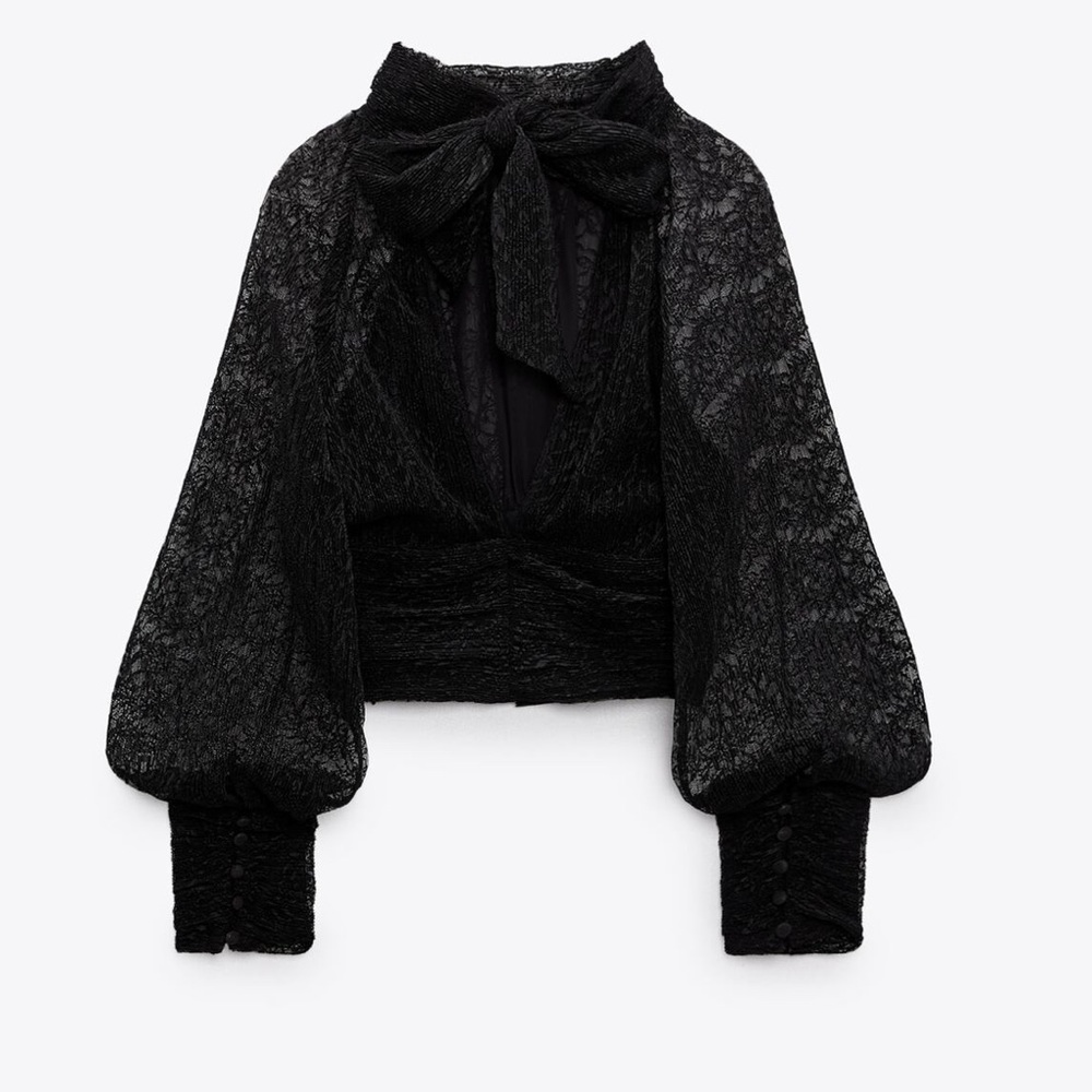 Zara Sheer Lace Top